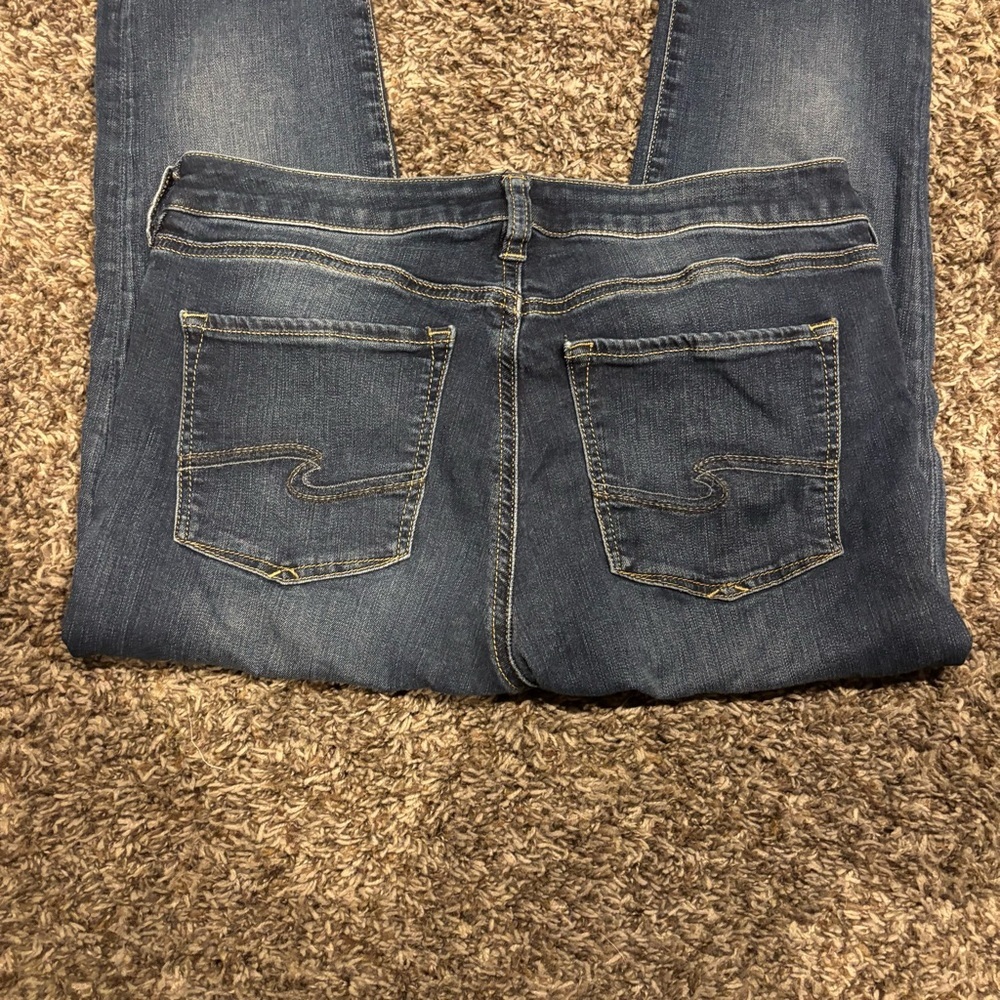 Silver Jeans Women's Bleeker Skinny Jeans